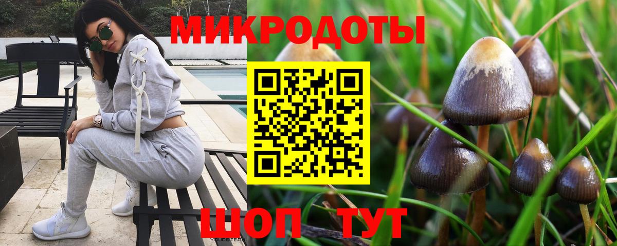 Галлюциногенные грибы мухоморы Мурино